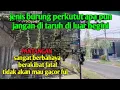 pantangan memelihara Burung Perkutut di taruh di Luar terus!!!! efeknya gak mau bunyi Los