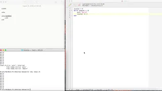 Ruby While Loops