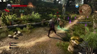 Witcher 3 Wraith not dying