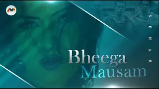 Hai Bheega Bheega Mausam | Sehar Imran | Pakistani Pop Song | 90s Hits