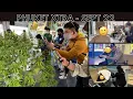 Download Lagu Tourist's 14-day stay at Phuket airport! Six months left for cannabis shops?  Thailand News