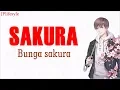 Lagu lagu jepang lembut | SAKURA - Ikimono Gakari | Terjemahan Indonesia