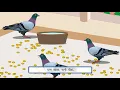 Lagu Kabootar (Pigeon) || Hindi Rhyme || Sunbeam Publishers
