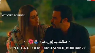 حالات واتس اب   مهرجان اصلي اسد   البت فكراني هدوب واغرق في عشق غرام    مسلسل هوجان     دندنها