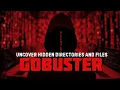 Find Hidden Files Directories FAST Using Gobuster