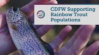 CDFW Hatcheries Supporting Rainbow Trout Populations Throughout California