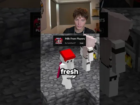 weirdest minecraft mod