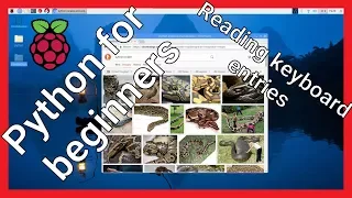 Python for beginners reading keyboard inputs