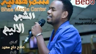 منتصر هلالية الشجن الاليم 