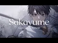 Download Lagu King Gnu - “Sakayume” / “逆夢” (from Jujutsu Kaisen 0) | English Cover by IN0RI