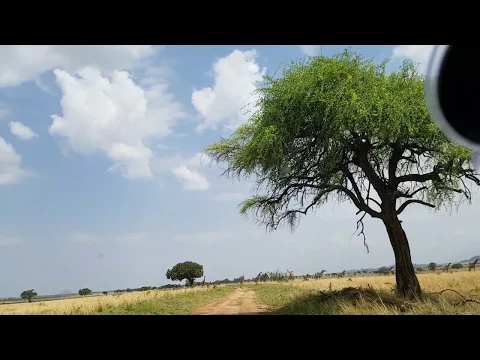 Uganda Driving Impressions