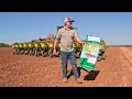 Growing Lima Beans Butterbeans Professionally