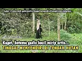Lagu INILAH YANTI GADIS KECIL PEMBERANI YG TINGGAL MENYENDIRI DI TENGAH HUTAN BELANTARA...