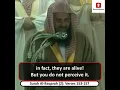 Download Lagu A Powerful and Classic Recitation from Surah Al-Baqarah | Sheikh Saud Shuraim