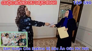 episode 590 karims second wife presents the conditions karim demands to return the land to sakina