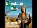 Download Lagu DJ Solo - Breaking Bass Mix