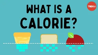 what is a calorie emma bryce