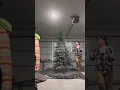 CHRISTMAS TREE TRANSFORMATION SPRAY PAINTIMG MY CHRISTMAS TREE