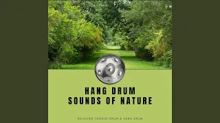 Download Hang Drum Sounds of Nature MP3