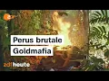 Goldgier am Amazonas: So gefährlich sind Perus illegale Goldgräber  | auslandsjournal