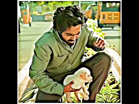 girl and puppy 🐶🐕 love ❤ || #dog #dogshorts #emotionalstatus #hearttouching #sadstatusvideo #viral