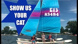 Show us your cat! E13   Germany, Holland, France, USA and Mozambique!