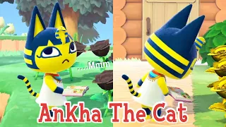 ankha the cat snooty villager animal crossing new horizons acnh