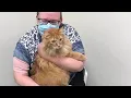 Meet Dewey