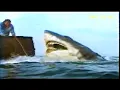 Download Lagu Rede Globo - Chamada do Filme 'Tubarão 1975'. Sessão de Sábado 08/01/2005.