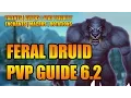 WoD 6 2 3 Feral Druid PvP Guide Talents Glyphs Stat Priority Enchants Macros Rotations WoW