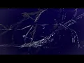shallou - All Your Days (with Emmit Fenn) [Audio]
