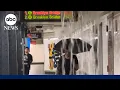 Download Lagu Water pours into New York City subway stations as storms hit Northeast