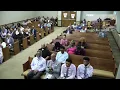 Mercer Bros Live Stream