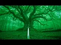 Download Lagu Epic Folk Battle Mix – Pagan War Drums \u0026 Ancient Warrior Spirit
