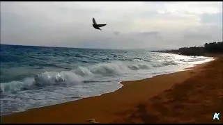 طوني حنا بين الرمل و بين الفي دخلك والهوا شمالي 