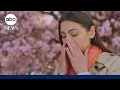 Spring allergies may worsen as warmer weather arrives