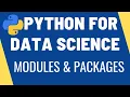 Modules and Packages Import Statements What are modules Python for Data Science