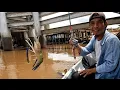 Download Lagu Mancing udang galah kali ini,,, emang bikin hati !!! @ spot sungai Kapuas
