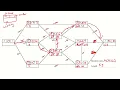 AQA A Level Computer Science - Graph Traversal 4