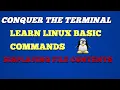 Conquer the Terminal Learn Linux cat Command