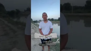 Амирчика нашли