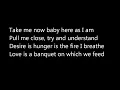 Patti Smith 'Because the Night' lyrics