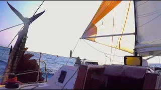 51. The Last Outrageous Supper