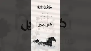 تهنئة مولود  تهنئة مولود