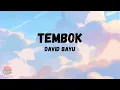 David Bayu - Tembok (Lirik)
