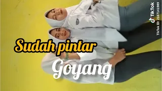 tiktok viral anak sma sudah pintar goyang