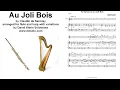 Variations on Au Joli Bois for flute and harp