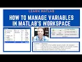 How to manage variables in MATLAB s Workspace