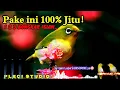 Download Lagu Pancingan PLECI 100% jitu Bongkar isian