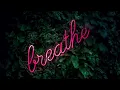 ✨Prosperity, Wealth, &  Money Attracting Affirmations | Positive Guided Meditation | 432Hz